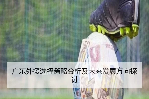 广东外援选择策略分析及未来发展方向探讨